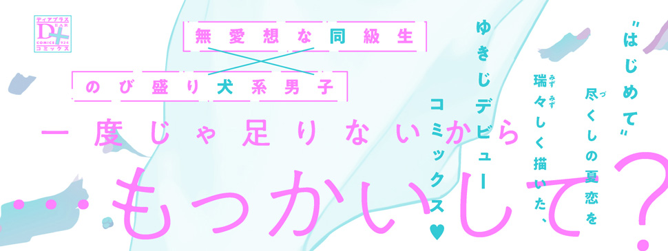 帯入れ込みイメージ