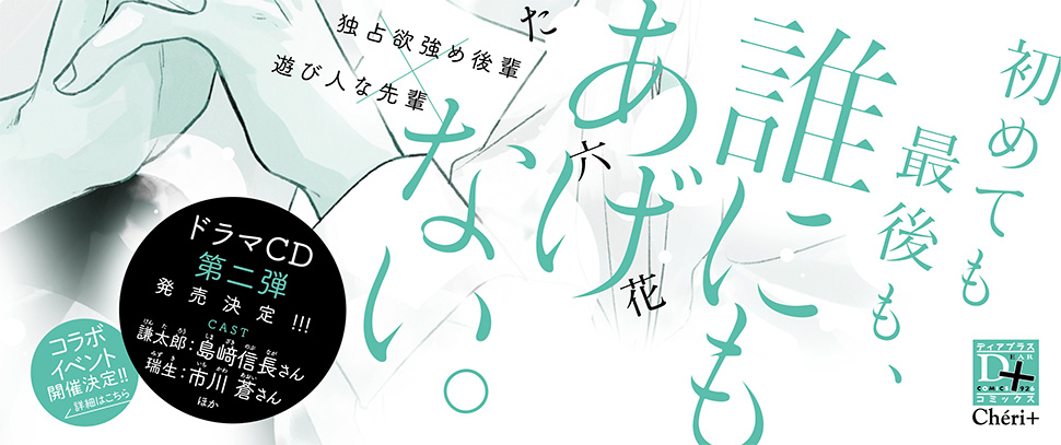 帯入れ込みイメージ
