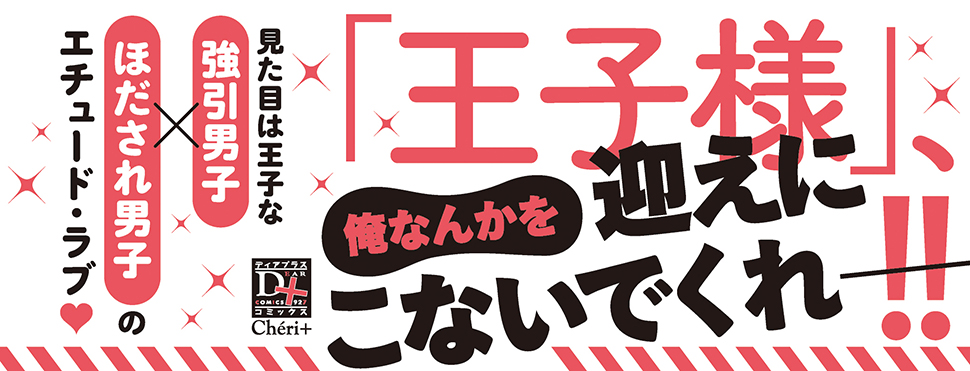 帯入れ込みイメージ