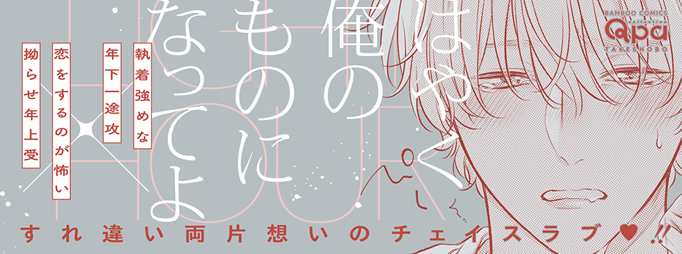帯入れ込みイメージ