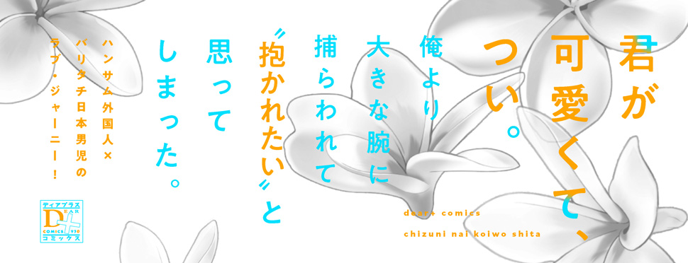 帯入れ込みイメージ
