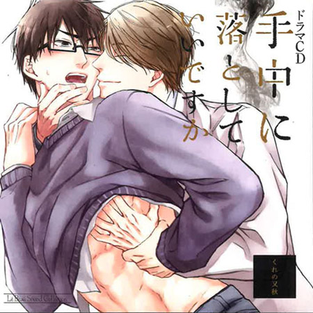 ドラマＣＤ 手中に落としていいですか