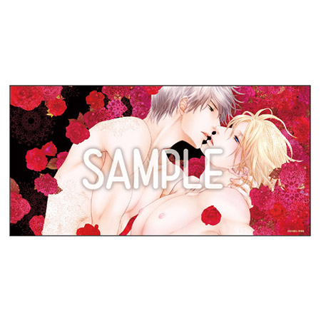 左京亜也先生『クロネコ彼氏シリーズ』バスタオル<B>【コミコミ限定グッズ】