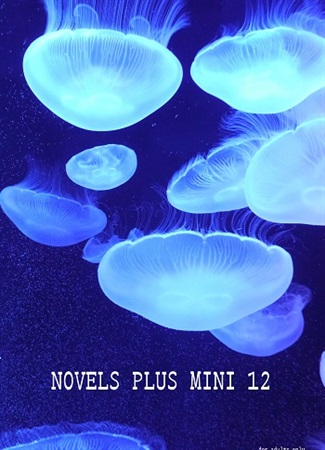 【フロマ限定特典付き】NOVELS PLUS MINI 12 