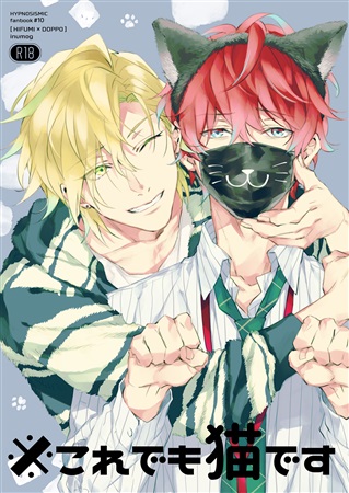 ※これでも猫です