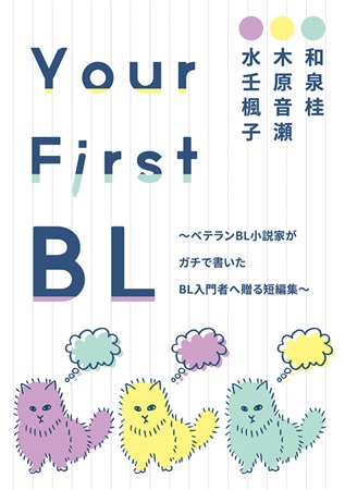 Your First BL 