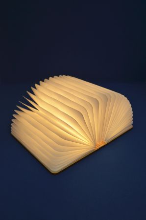 受注生産】『苑生先生』LEDブック型ライト「被写界深度」 | ボーイズ 