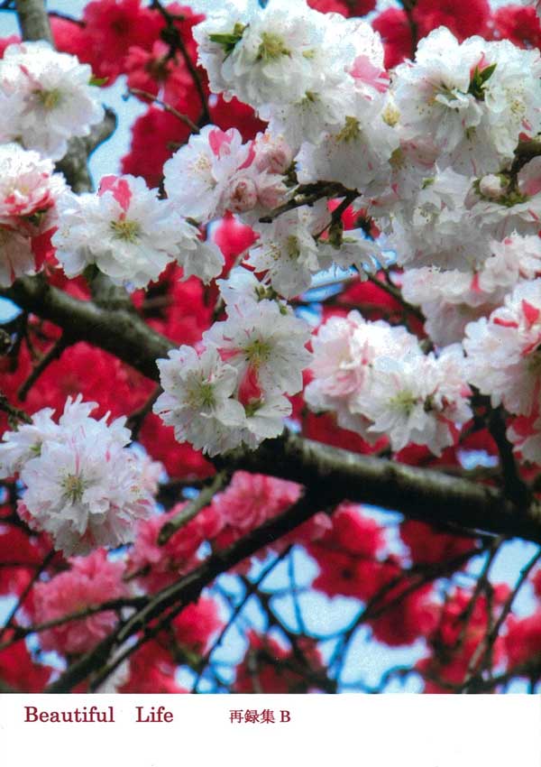 Beautiful　Life　名倉和希同人誌再録集B