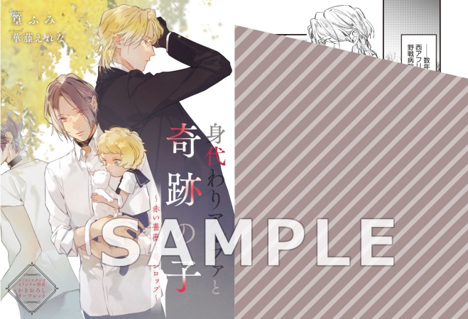 アネミファーシロップのリーフレット