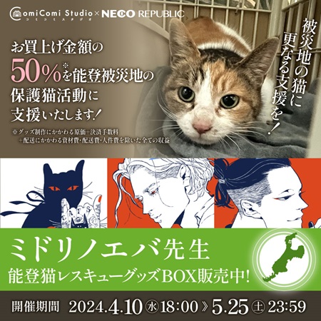 ミドリノエバ先生　能登猫レスキューグッズBOX【10,000円】