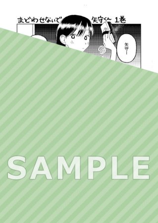 まどわせないで矢守くん（1）（単品）