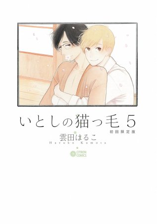 いとしの猫っ毛（5）初回限定版