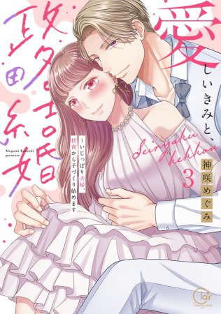 愛しいきみと、政略結婚～いじっぱり夫婦、初夜から子づくり始めます（3）