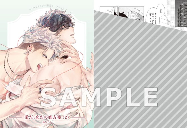 愛だ、恋だの処方箋（2）限定版