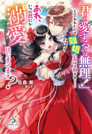 「君を愛するのは無理！」と言われたので離婚に向けて動きま……あれ、いつの間にか溺愛はじまってます？