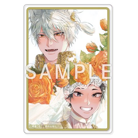 【2冊セット商品】『こっち向いてグレア（上）特装版＋（下）特装版』【2冊セット有償特典・アクリルカード】