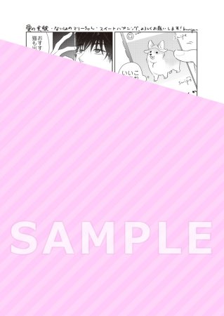 ないしょのマリーちゃん 新装版