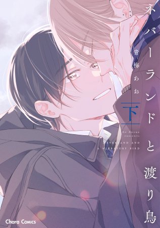 ネバーランドと渡り鳥（下）