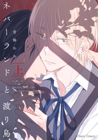 ネバーランドと渡り鳥（上）