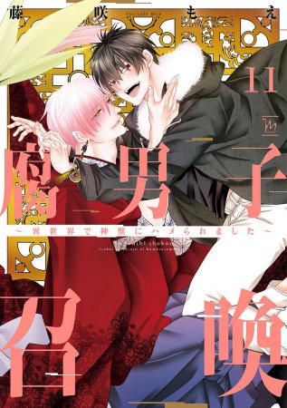腐男子召喚～異世界で神獣にハメられました～（11）通常版（単品）