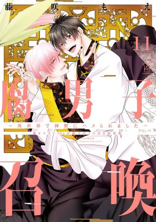 腐男子召喚～異世界で神獣にハメられました～（11）【描き下ろし32p小冊子ボイス付き特装版】（単品）