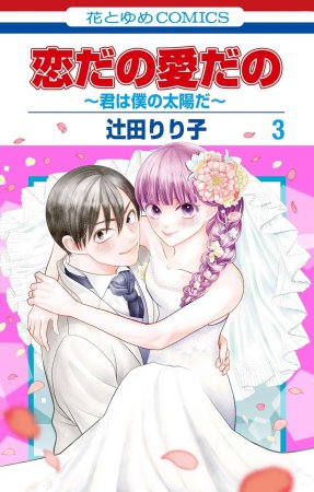 恋だの愛だの～君は僕の太陽だ～（3）