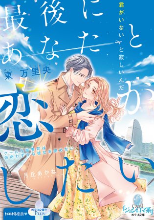 最後にあなたと恋がしたい