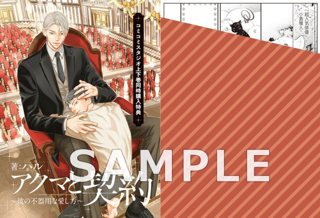 【2冊セット商品】『アクマと契約～彼の不器用な愛し方～（上）＋（下）』