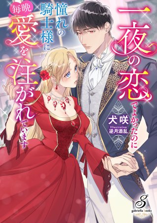 一夜の恋でよかったのに憧れの騎士様に毎晩愛を注がれています