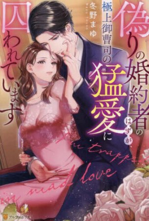 偽りの婚約者のはずが、極上御曹司の猛愛に囚われています