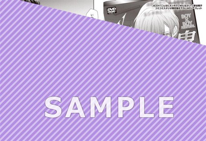 こんなにえっちでごめんなさい。【有償特典・おとなの公式同人誌】