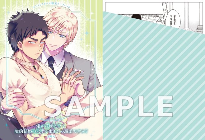 俺が花嫁に！？（2）契約結婚のはずがまさかの溺愛ですか？