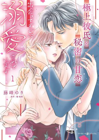 極上彼氏と秘密の甘恋～出会ってすぐに溺愛されています～（1）