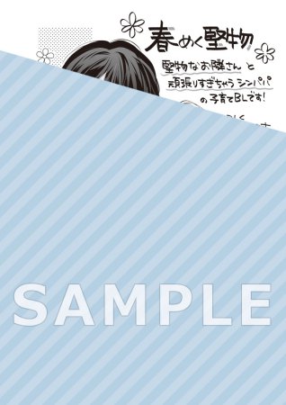春めく堅物
