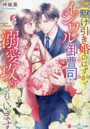 駆け引き婚のはずが、イジワル御曹司に溺愛攻めされています