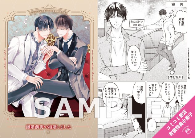 離婚前提で結婚しました【有償特典・小冊子】