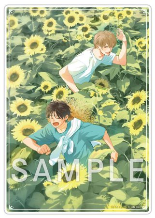 ひだまりが聴こえる―春夏秋冬―（4）【有償特典・A5アクリル