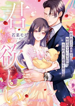 君だけが欲しい　～財界覇王の長男は秘密のママになった元婚約者に最愛を捧ぐ～