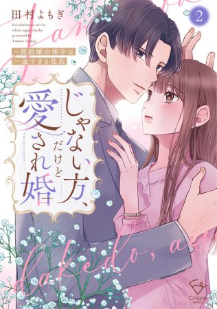 じゃない方、だけど愛され婚～契約婚の相手は一途すぎる社長（2）