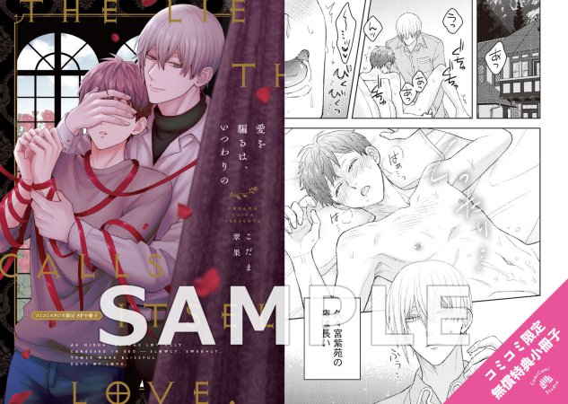 愛を騙るは、いつわりの【7/31締切！予約キャンペーン特典：ペーパー】