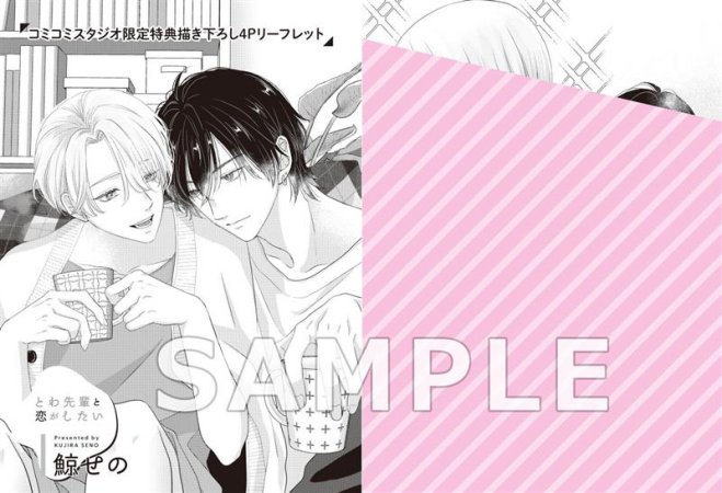 とわ先輩と恋がしたい【有償特典・小冊子】