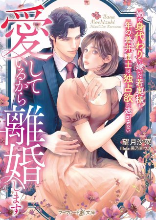 愛しているから離婚します　～姉の身代わりで嫁いだ若奥様を、年の差弁護士は独占欲で逃がさない～