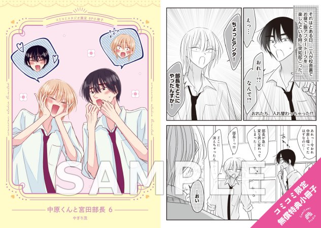 中原くんと宮田部長（6）（単品）