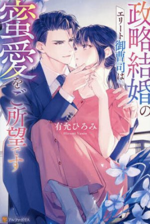 政略結婚のエリート御曹司は蜜愛をご所望です