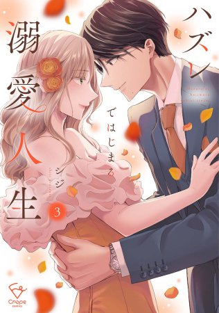 ハズレではじまる溺愛人生～仕組まれた恋の相手はハイスぺ社長（3）