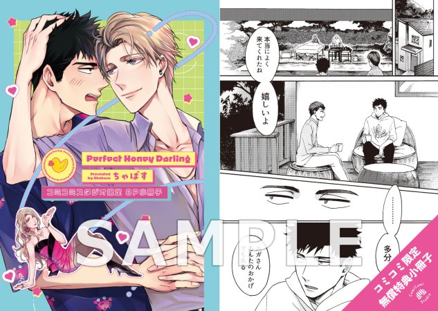 Perfect Honey Darling【9/19締切！予約キャンペーン(抽選＋ペーパー)】     