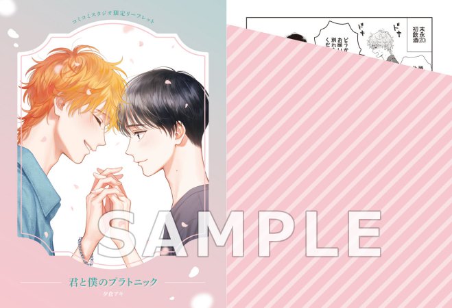 君と僕のプラトニック【予約キャンペーン対象外・9/25から受付開始】