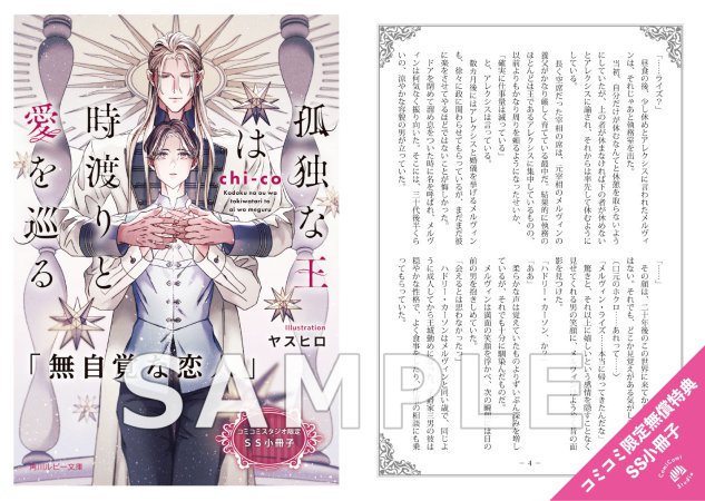 孤独な王は時渡りと愛を巡る