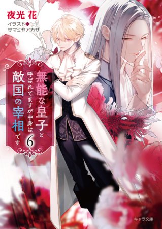 無能な皇子と呼ばれてますが中身は敵国の宰相です（6）（単品）