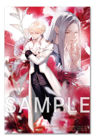 無能な皇子と呼ばれてますが中身は敵国の宰相です（6）（単品）